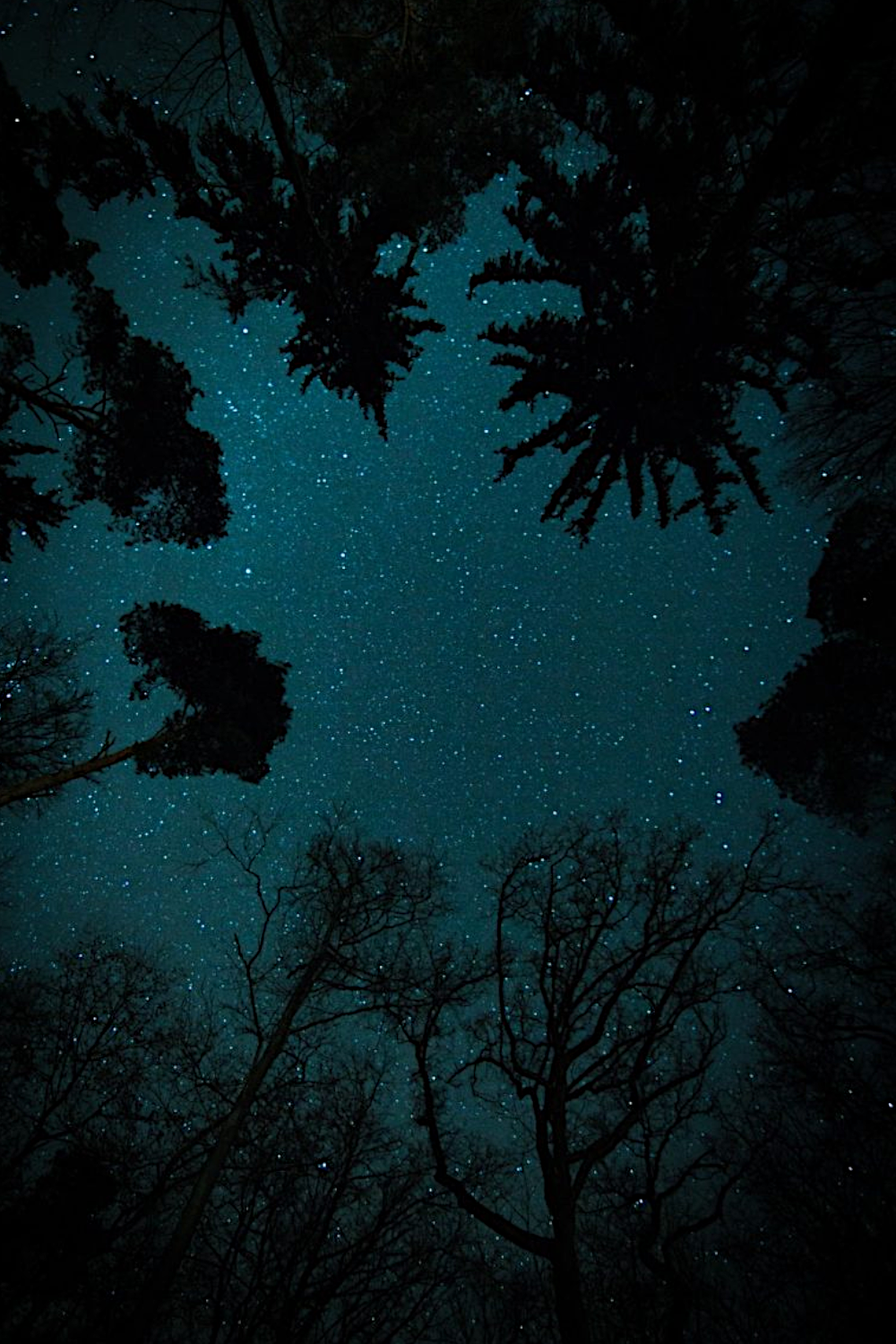 A beauty of a night under mysterious stars – Carla Wilds, WildSongwriter
