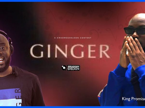 King Promise Drops “Ginger” And The Song Dey Bee!!!