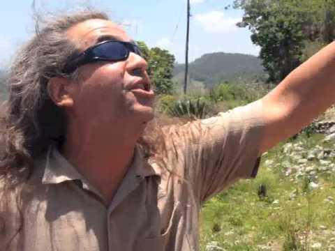 Canadian Folk Singer Songwriter Ed Roman Sings Reggae Song About Jamaica